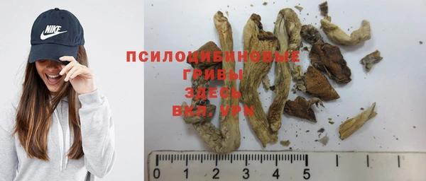 гашик Беломорск