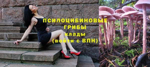 гашик Беломорск
