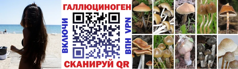Галлюциногенные грибы прущие грибы  наркота  Яблоновский 